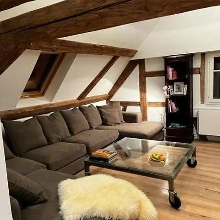 Alsatian House In Fegersheim, France Appartement